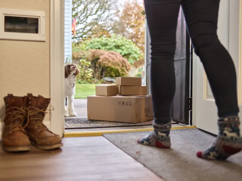 Instant Gratification, Instant Regret: How Fast Shipping Rewired Your Shopping Brain